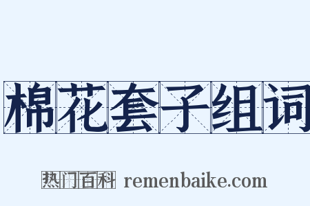 棉花套子组词是什么意思的图片